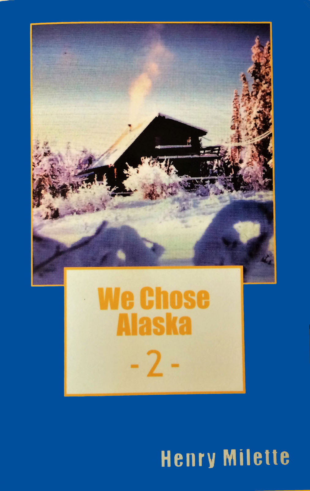 We Chose Alaska Book Image